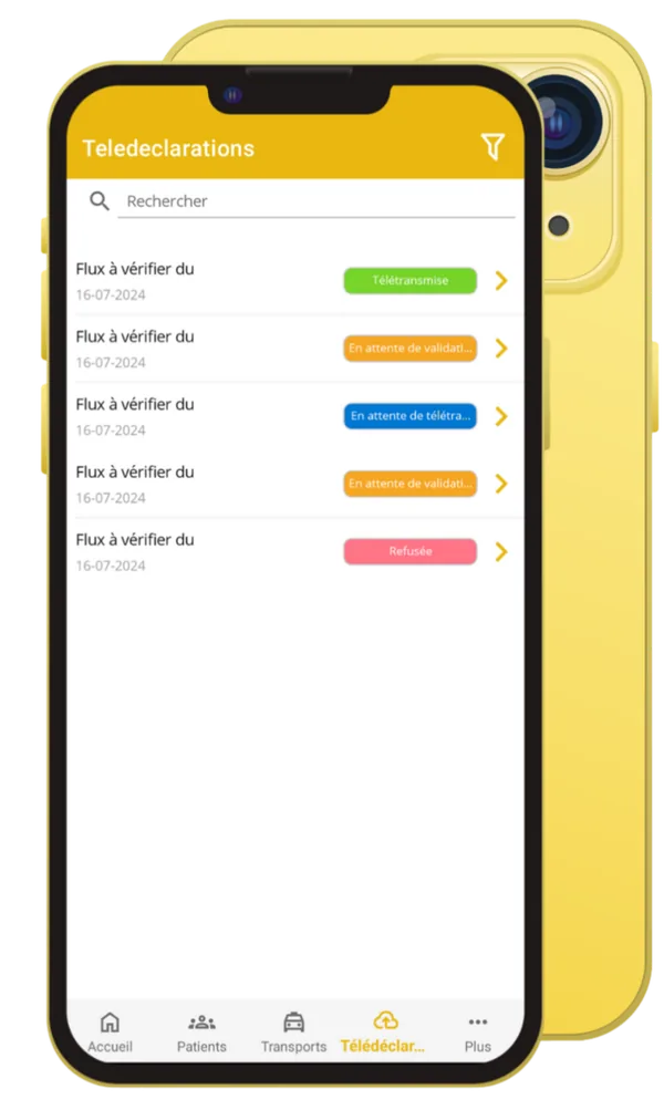 Vérification des télédéclarations dans l'application Liber'Médical Taxi